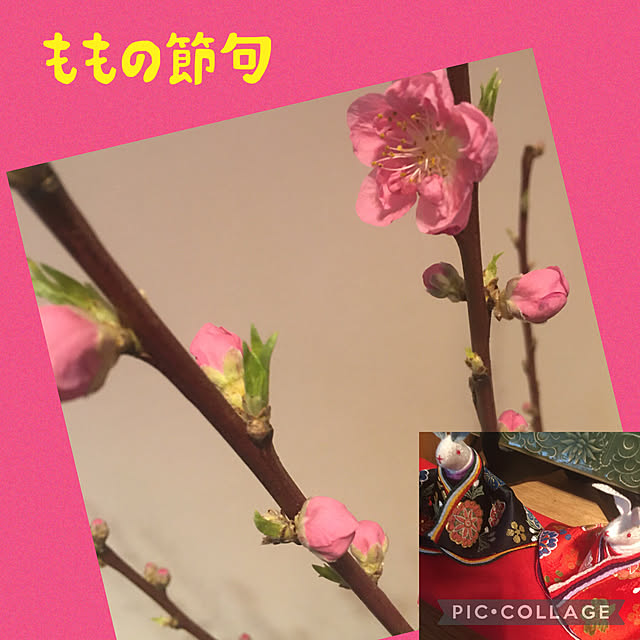 happy-sachiさんの実例写真