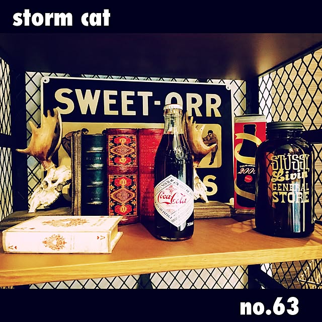 stormcatさんの実例写真