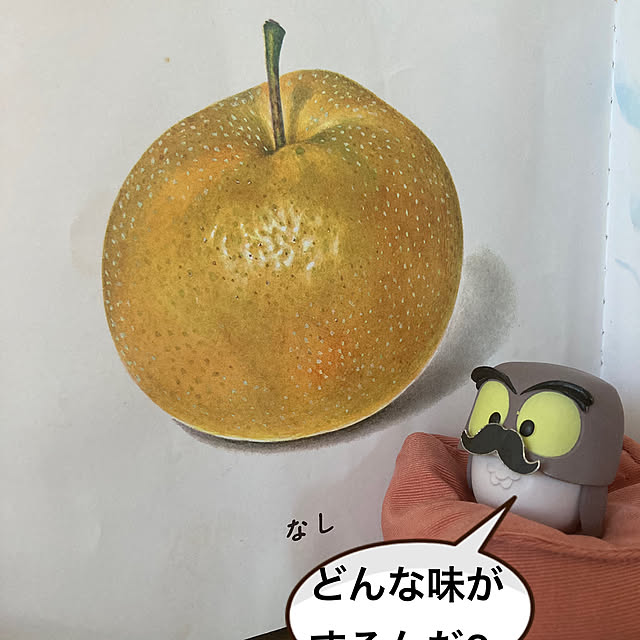 manduonmaさんの実例写真