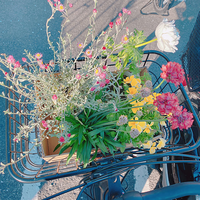 バス/トイレ/自転車のカゴがお花畑/一人暮らし/お花のある暮らし/すきなものに囲まれた暮らし...などのインテリア実例 - 2024-02-12 18:25:45