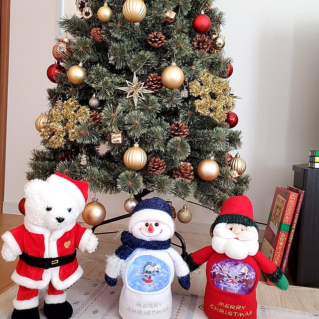 tokkiさんの実例写真