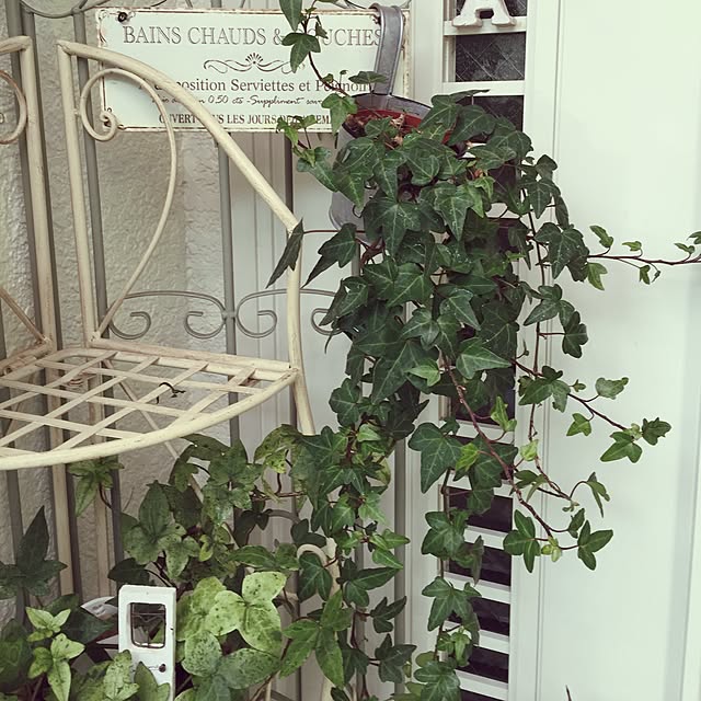 greenroseさんの実例写真