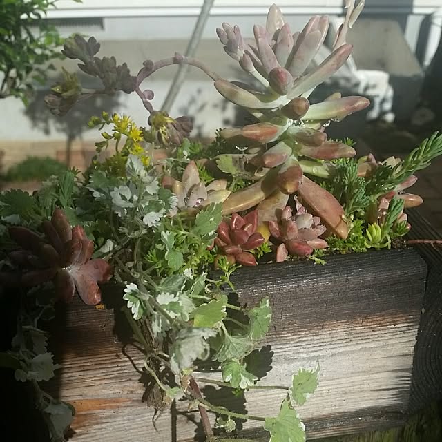 44039ponさんの実例写真