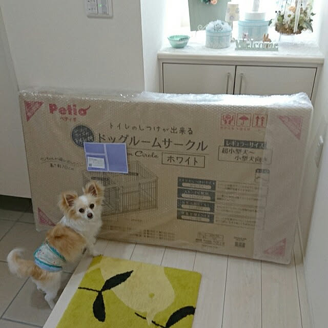 PAOさんの実例写真