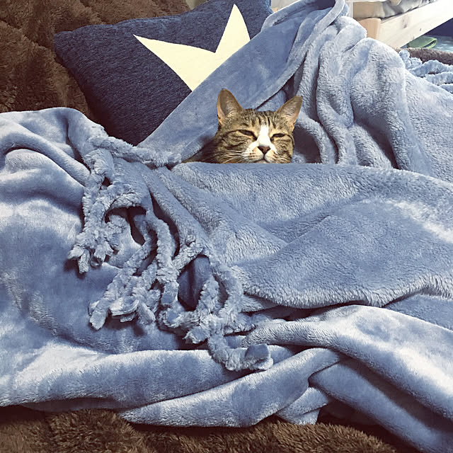 yagidoruさんの実例写真