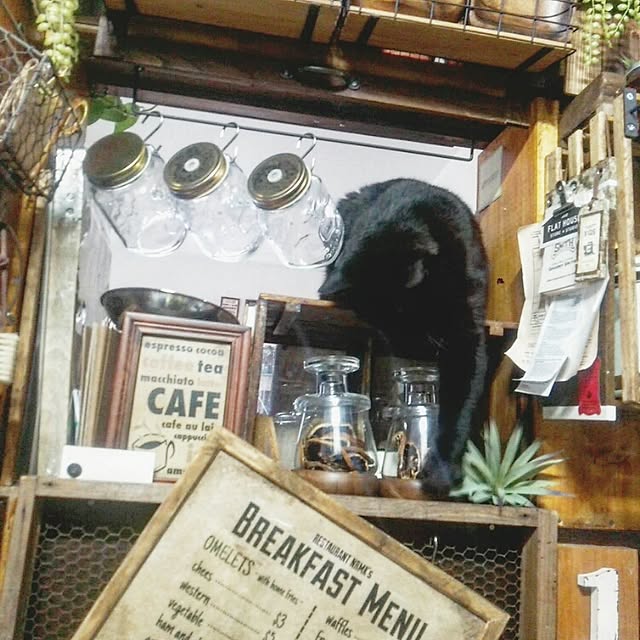 ugさんの実例写真