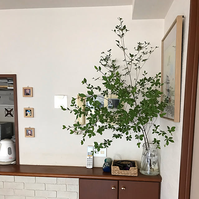 norinoriさんの実例写真