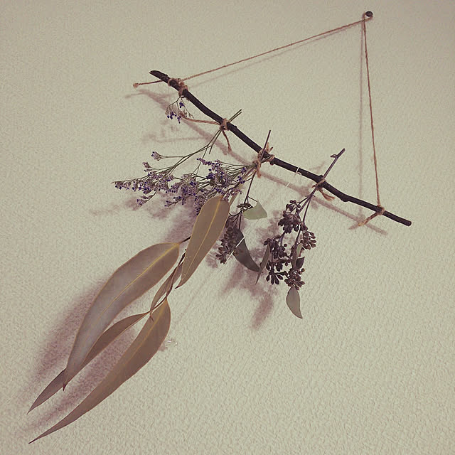 sakuraさんの実例写真