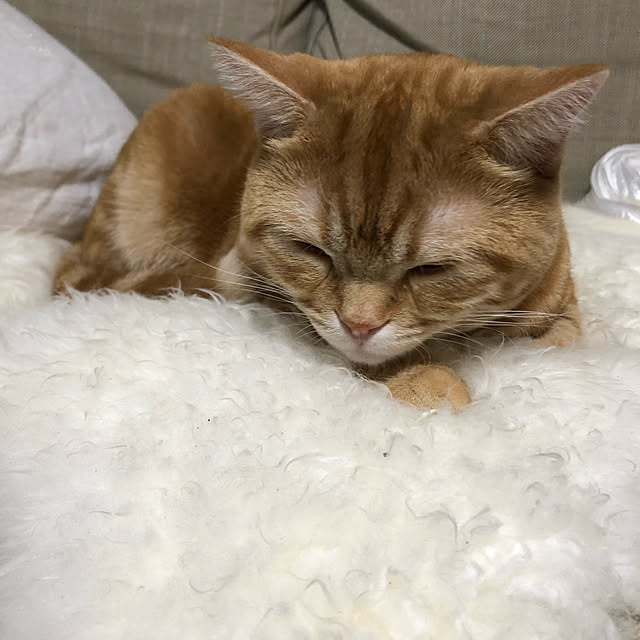 Atelier.mさんの実例写真