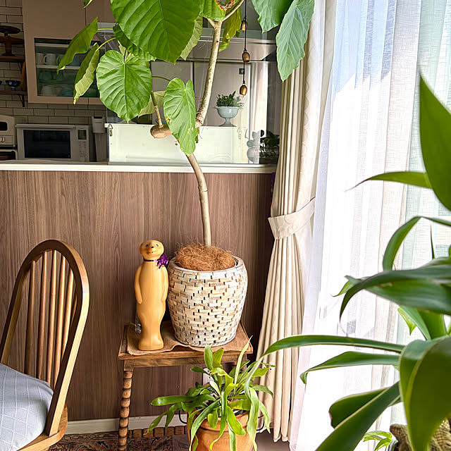 BB13さんの実例写真