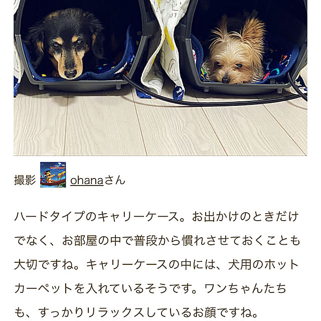 ohanaさんの実例写真
