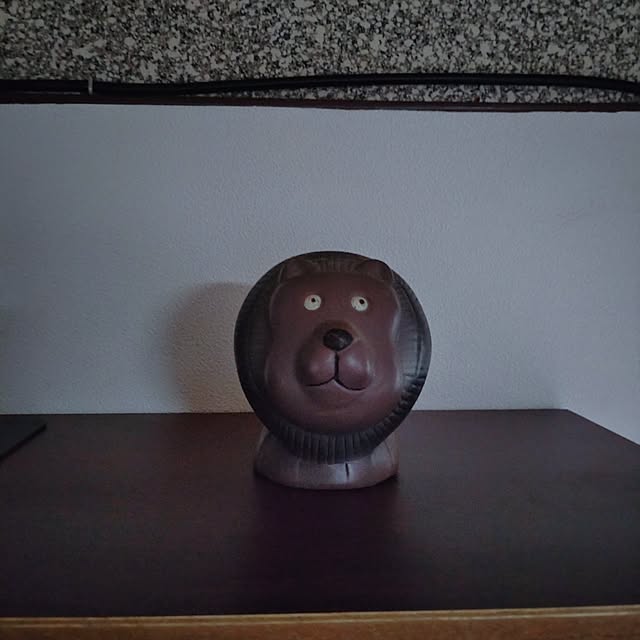 raykさんの実例写真