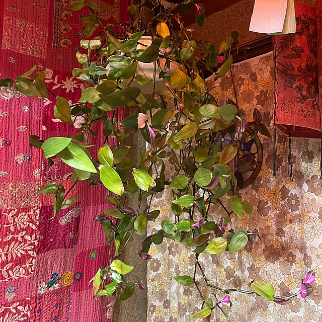 shin0719さんの実例写真