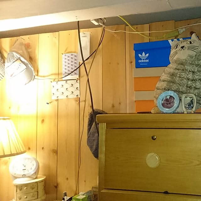 棚のインテリア実例 - 2017-06-02 23:09:12