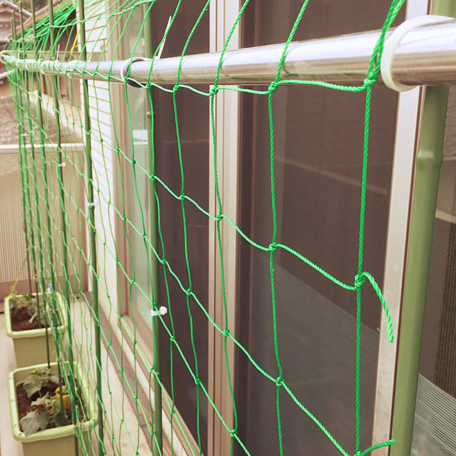 glasscatさんの実例写真
