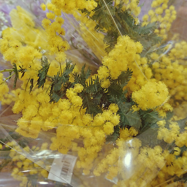renrinmamaさんの実例写真