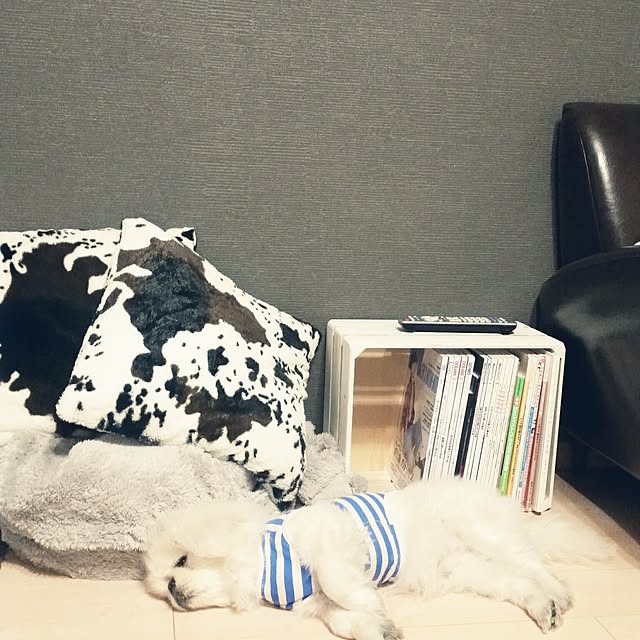 yukagomaさんの実例写真