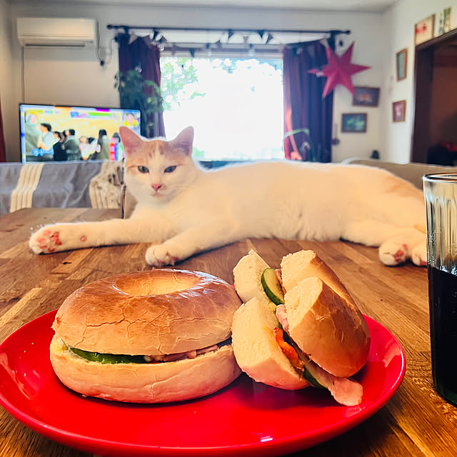 tomorinさんの実例写真