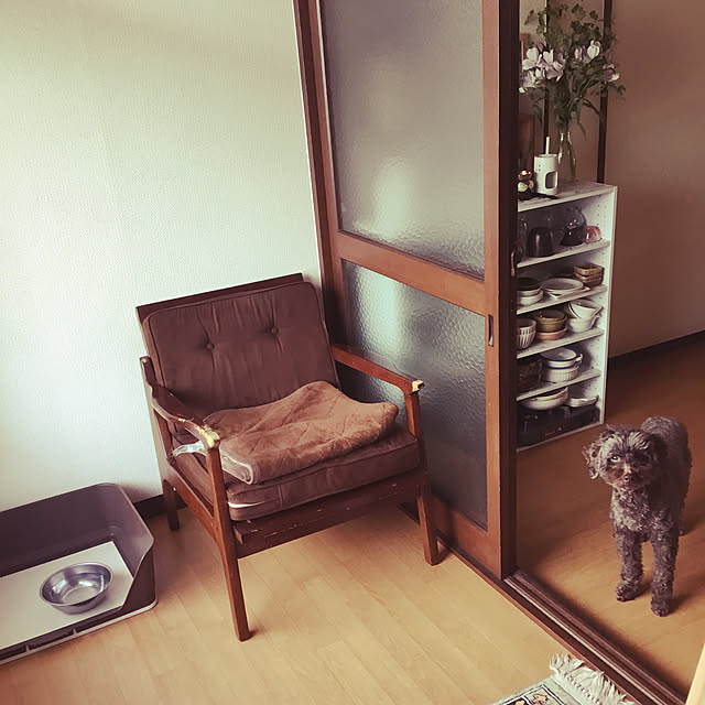 tamaさんの実例写真