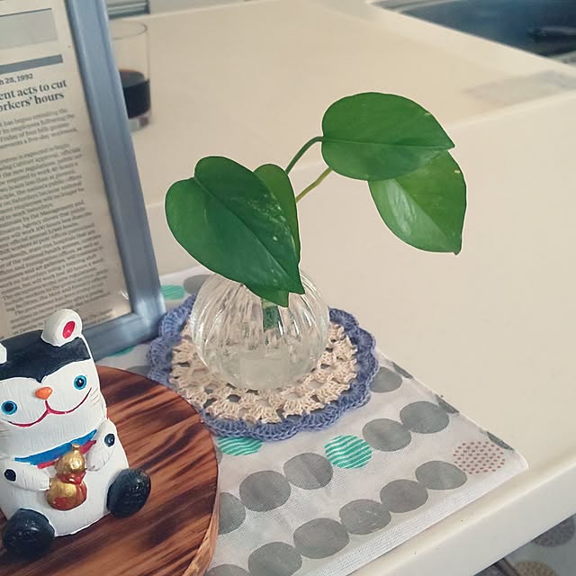 KOHAKUさんの部屋