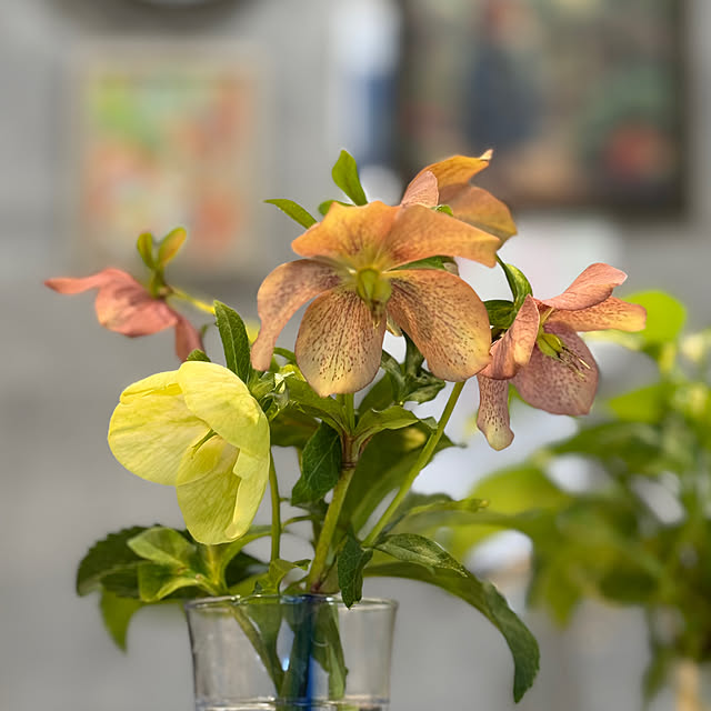 Aqettyさんの部屋