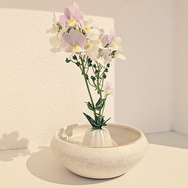 kumijiさんの実例写真