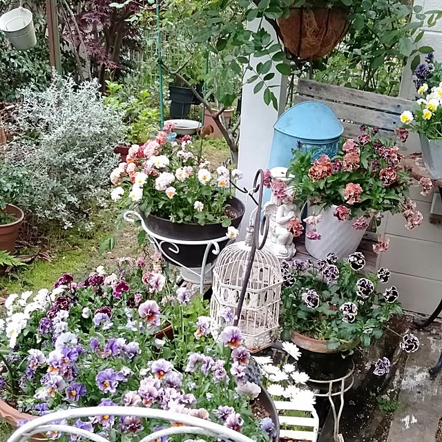 showさんの実例写真
