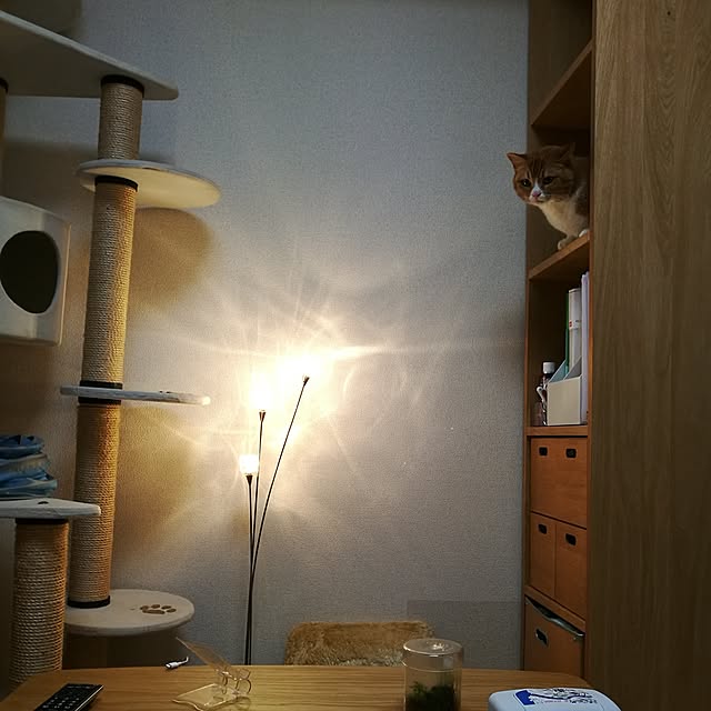 camomile326さんの実例写真