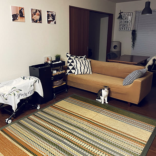 tansukeさんの部屋