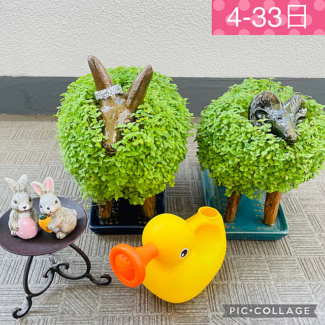 aureaさんの実例写真