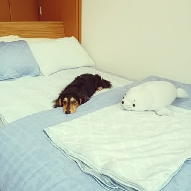 reonさんの実例写真
