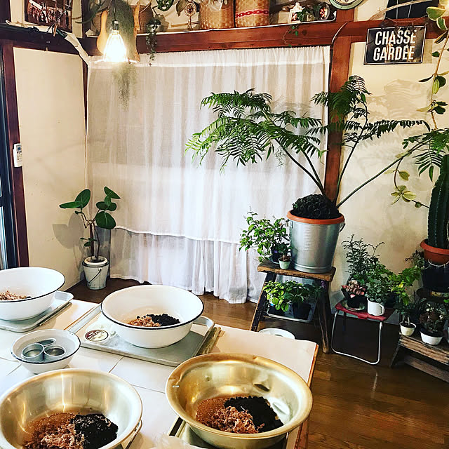nakashima87さんの実例写真