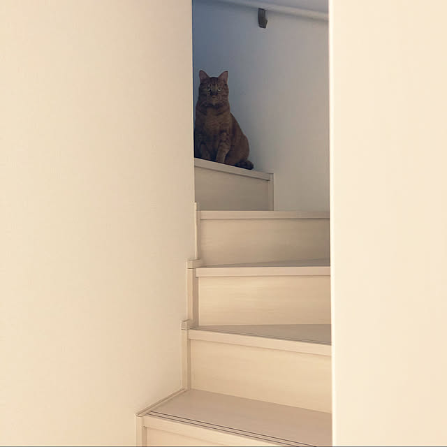 ochappuさんの実例写真