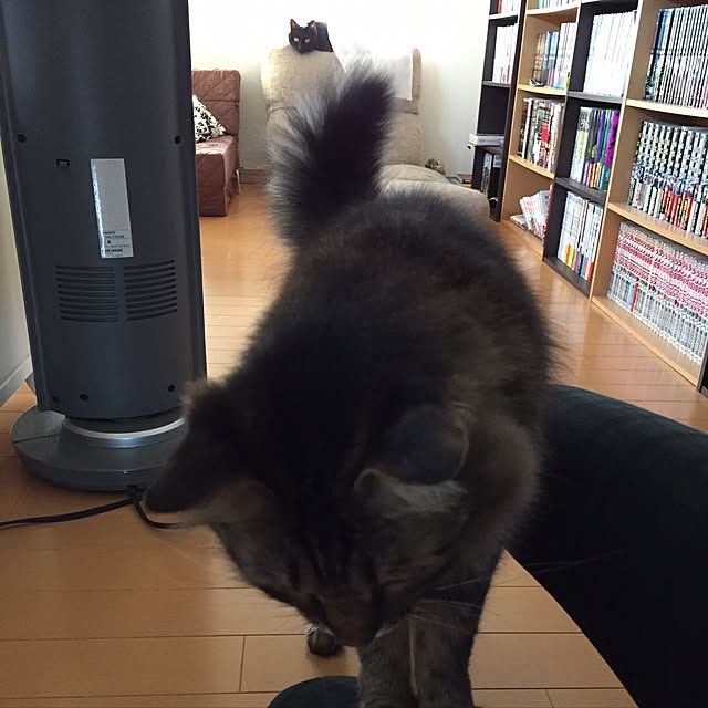 yuki0511さんの実例写真
