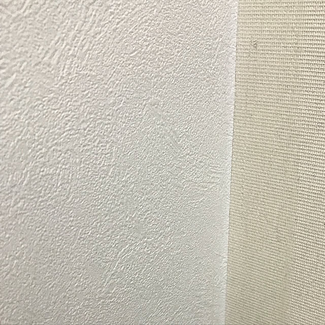 Mitsueさんの実例写真