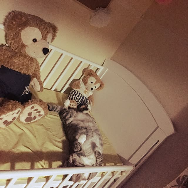 Manamiさんの実例写真