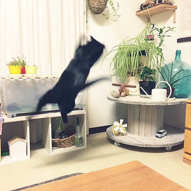 nanaさんの実例写真