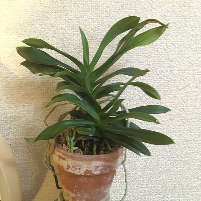 hkrさんの実例写真