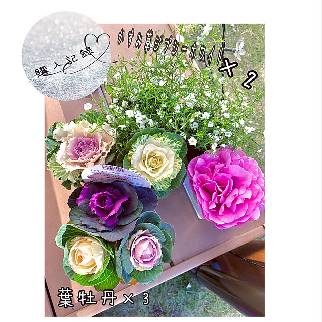 hinamamaさんの実例写真