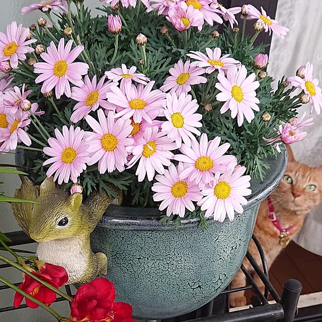 NOAHさんの部屋