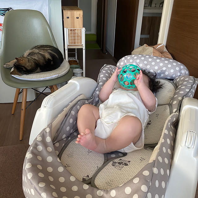 mikomaruさんの実例写真