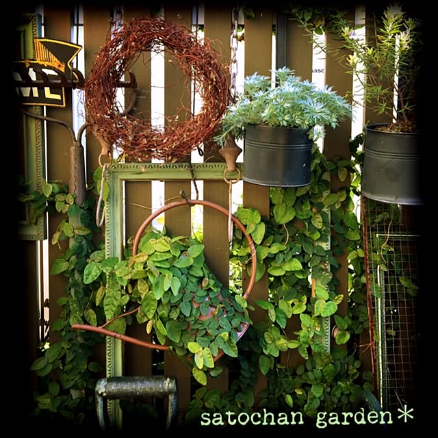satochanさんの実例写真