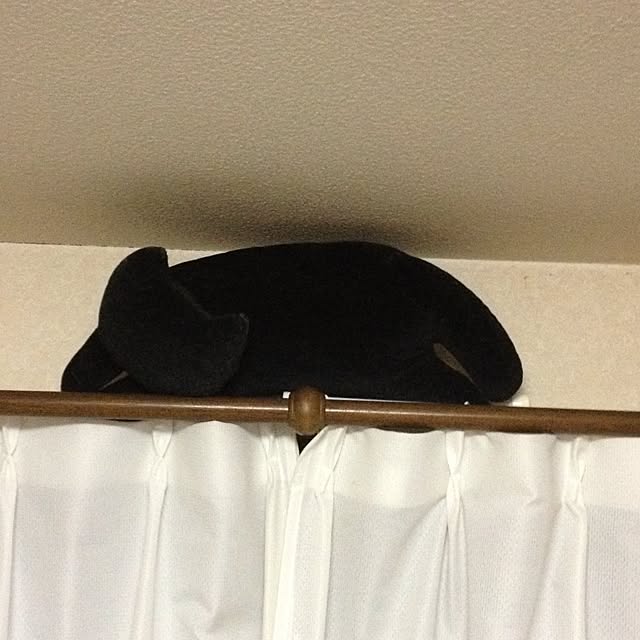 chocola1960さんの実例写真