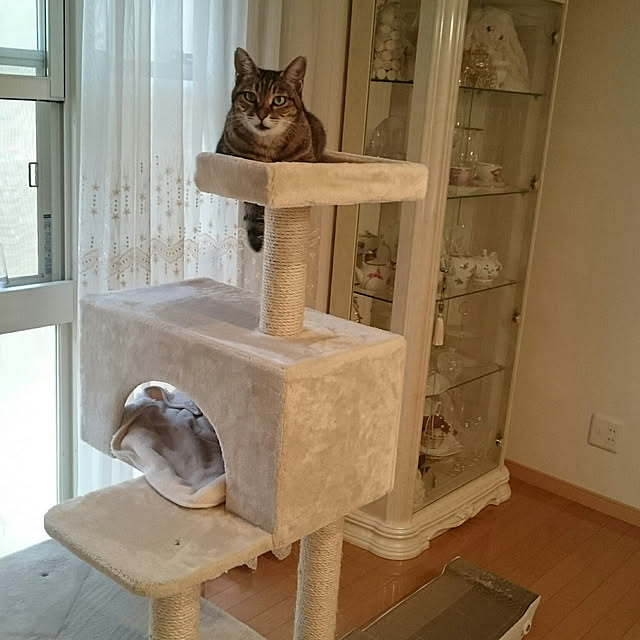 lilyさんの実例写真