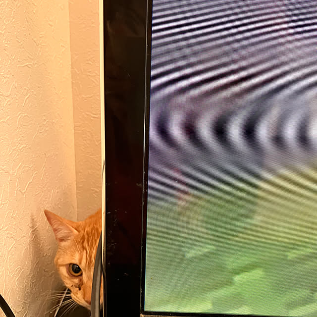 tomorinさんの部屋