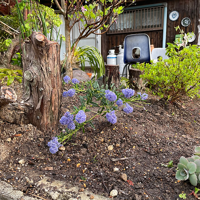 shin0719さんの部屋