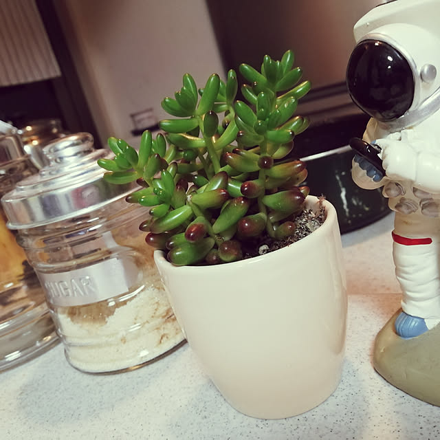 chibikkoさんの実例写真