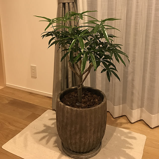 Haruさんの実例写真