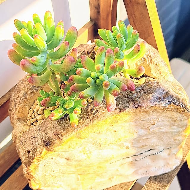 noaさんの部屋