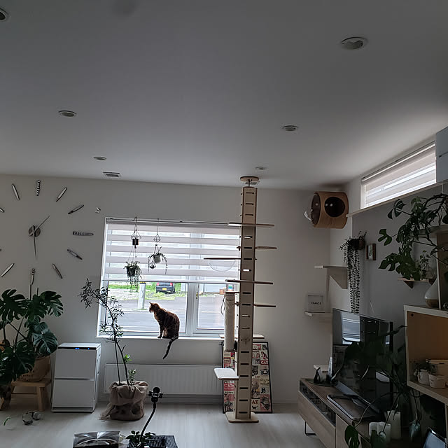 megu.catさんの部屋